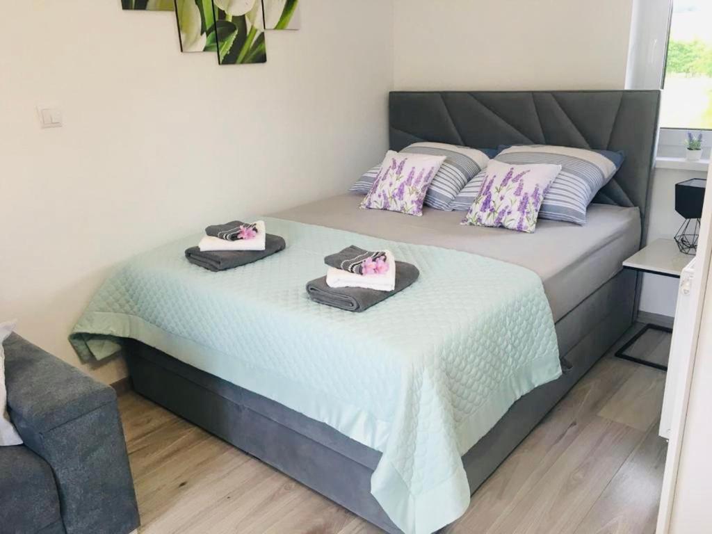 Apartamenty Pod Cisem Kudowa-Zdrój Eksteriør billede